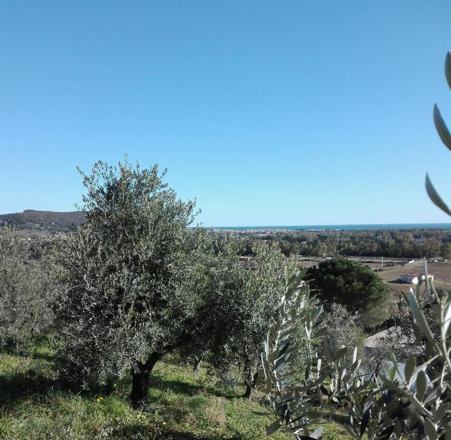 Agriturismo Cuccuru E Jana Pension Siniscola Buitenkant foto